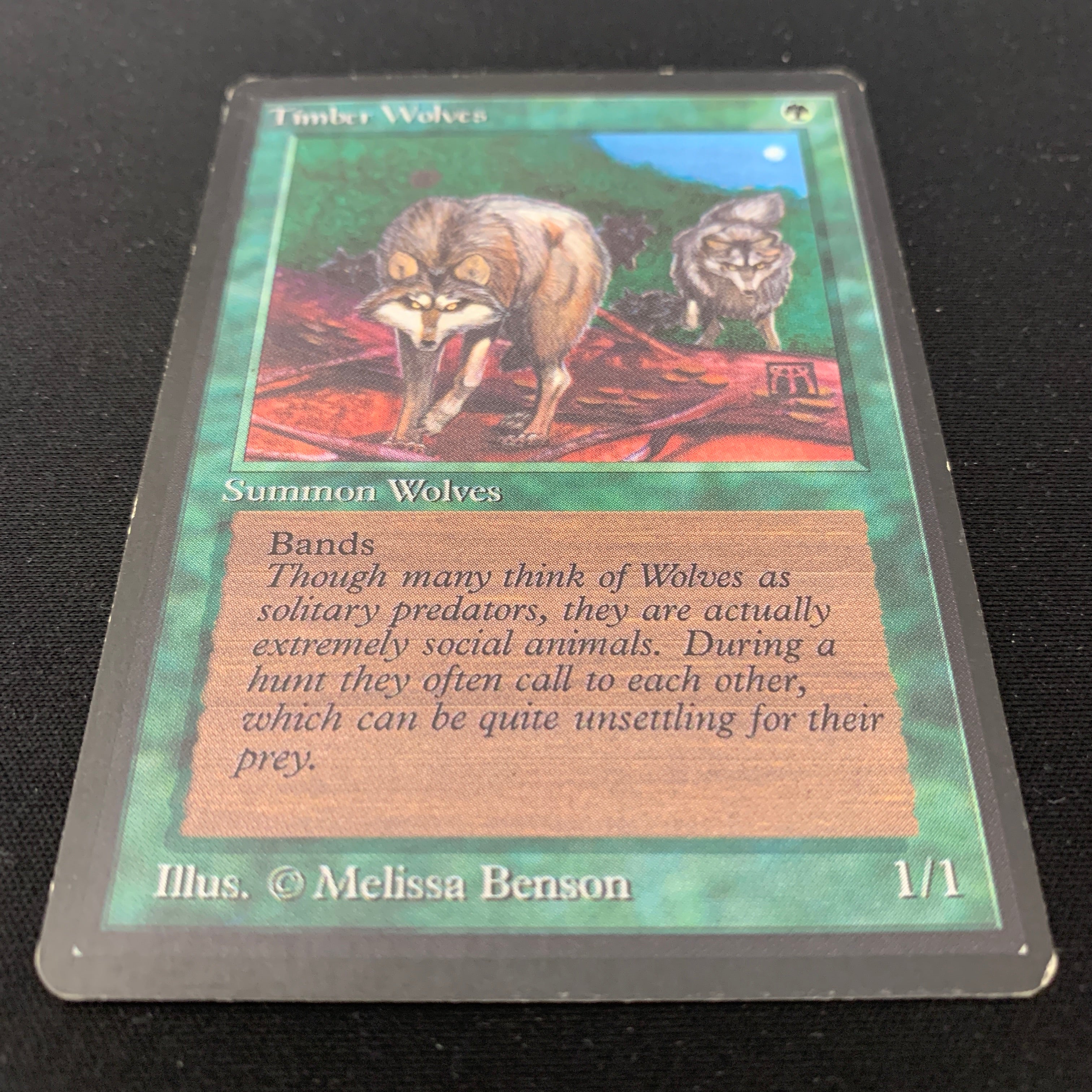 MTG Singles - Timber Wolves - Beta - 