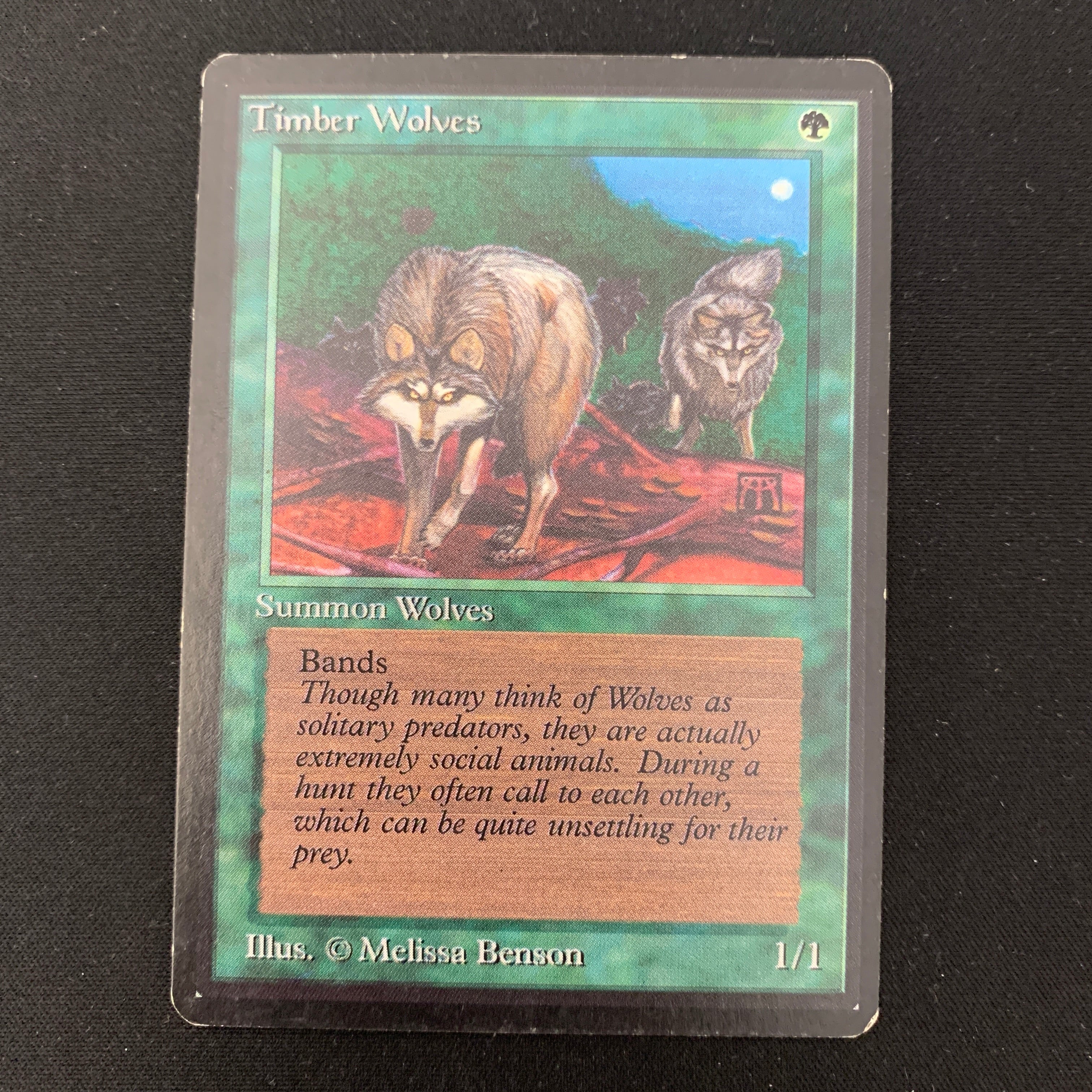 MTG Singles - Timber Wolves - Beta - 