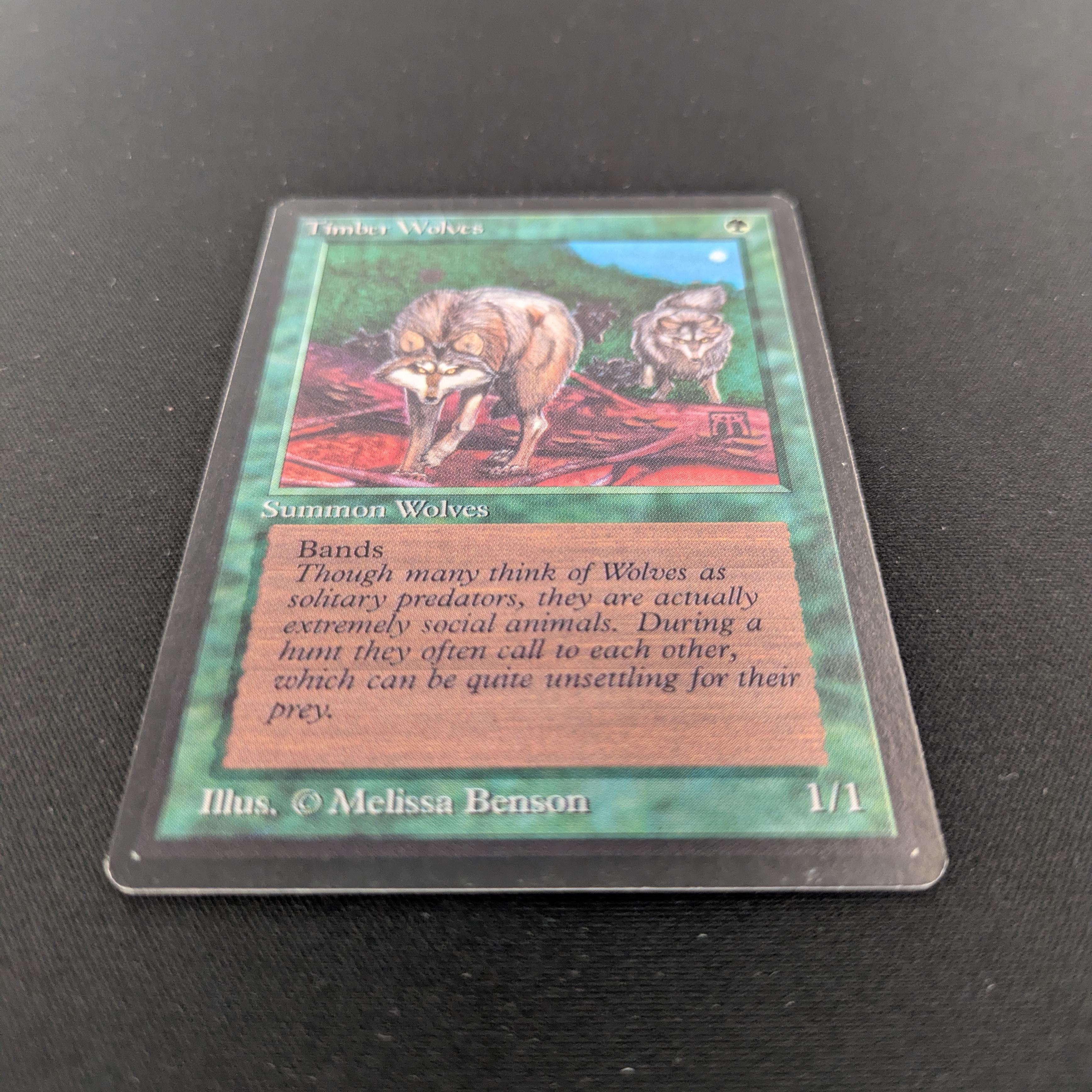 MTG Singles - Timber Wolves - Beta - 