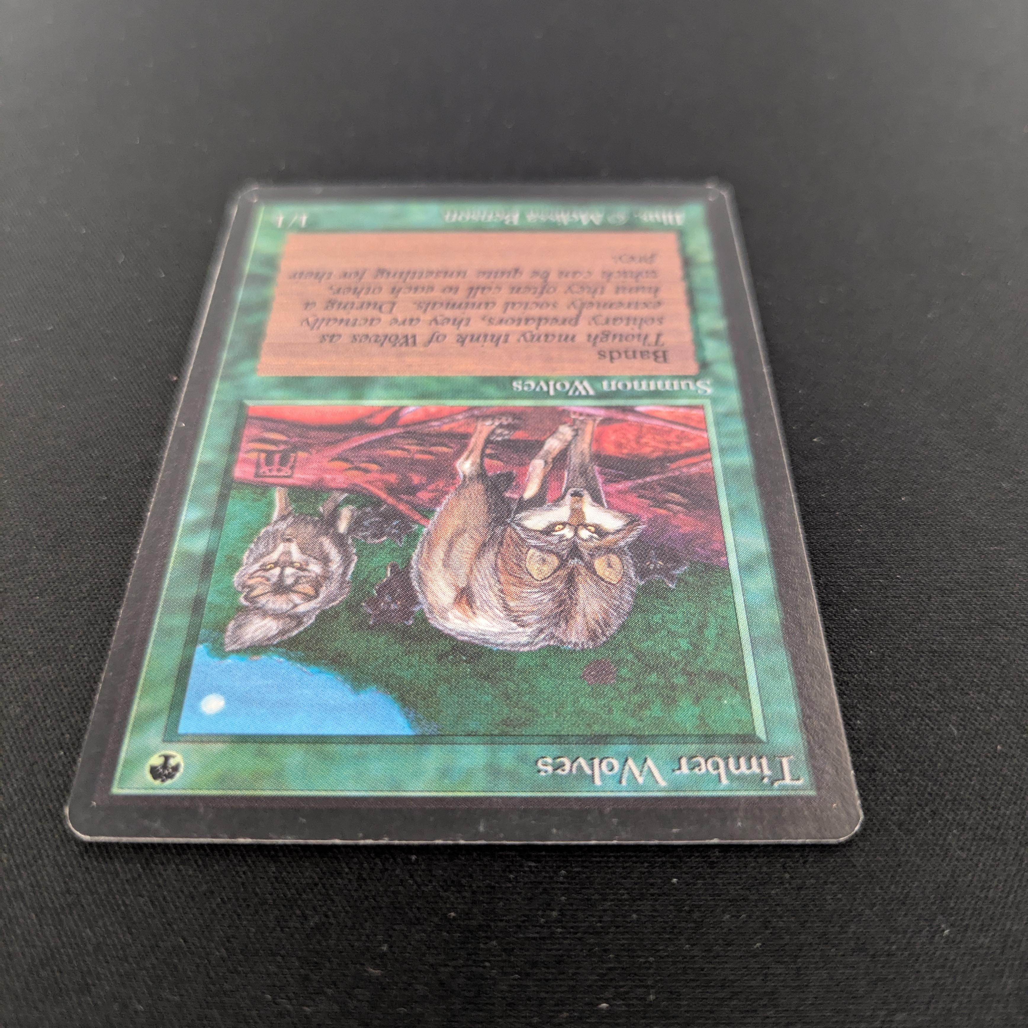 MTG Singles - Timber Wolves - Beta - 
