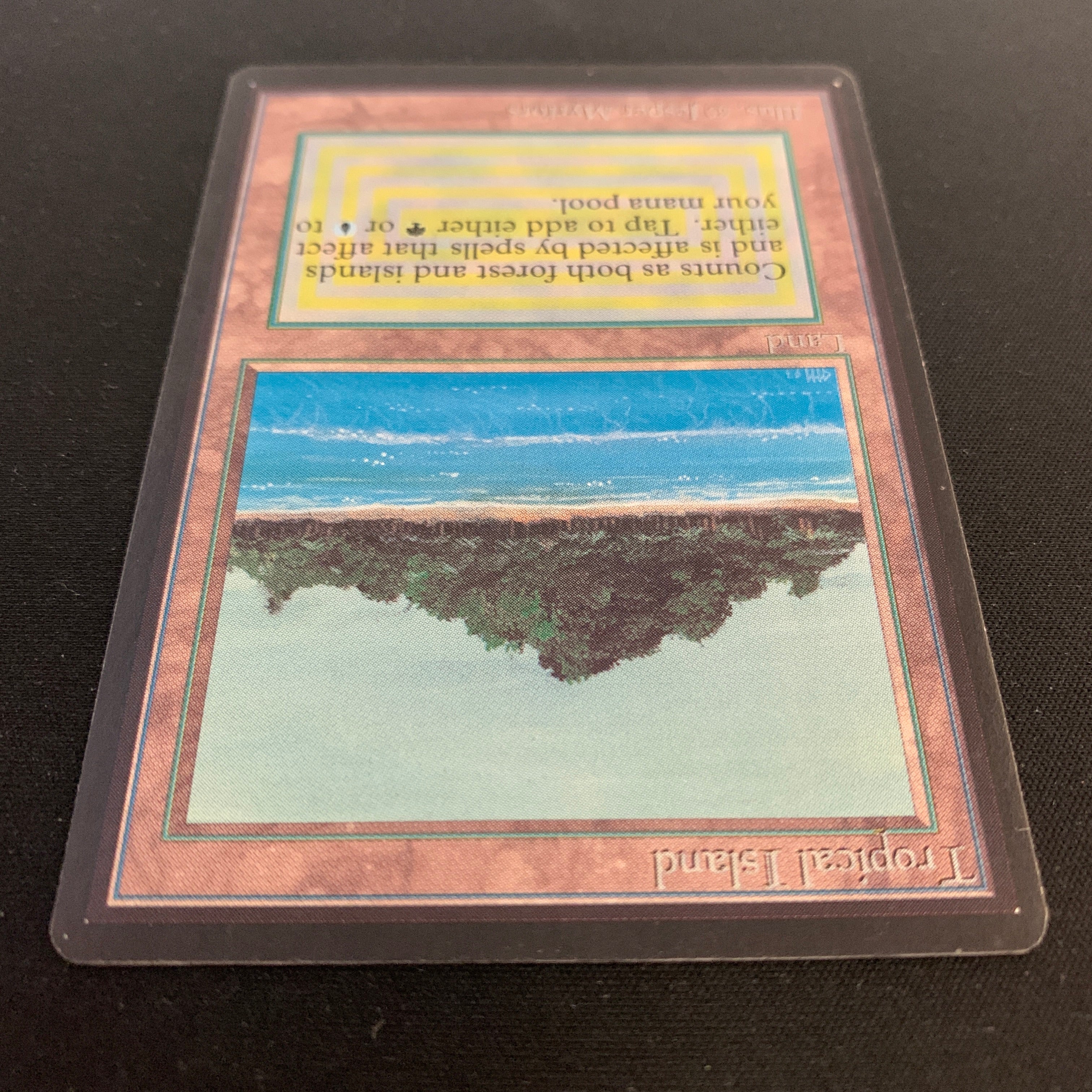 MTG Singles - Tropical Island - Beta - 