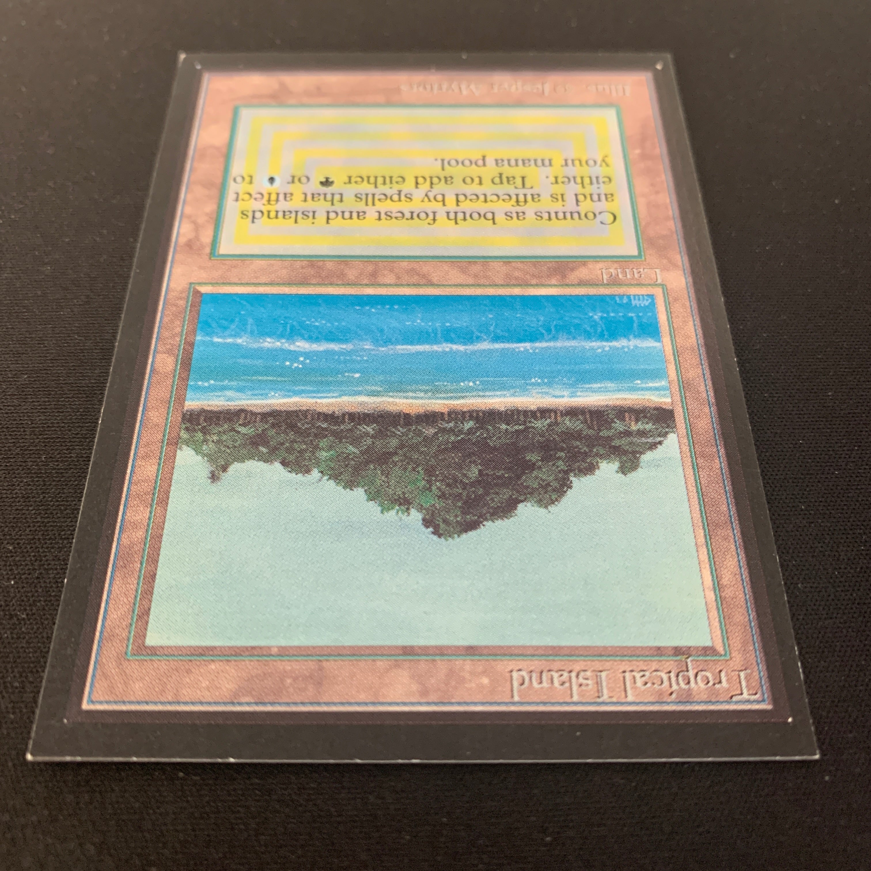 MTG Singles - Tropical Island - International Edition - 