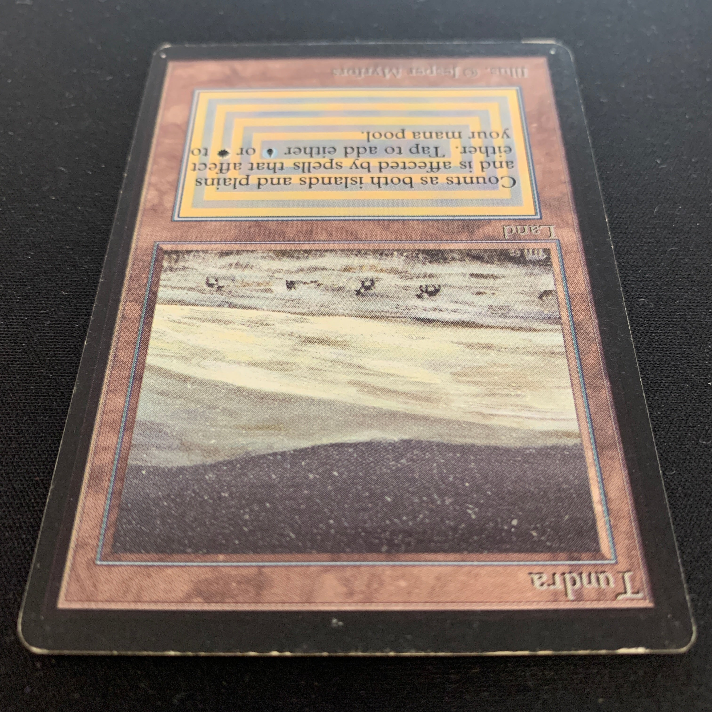 MTG Singles - Tundra - Beta - 