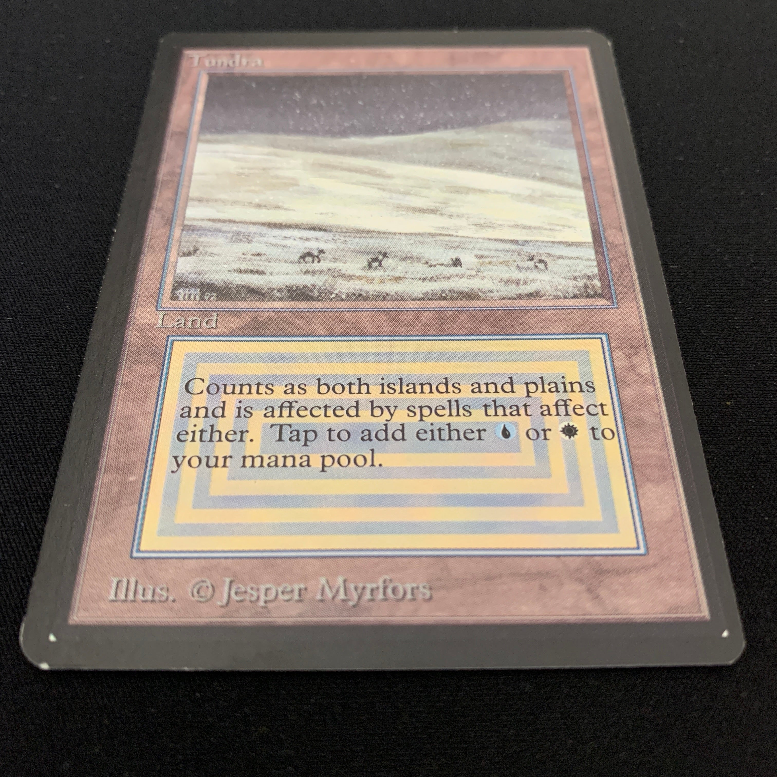 MTG Singles - Tundra - Beta - 