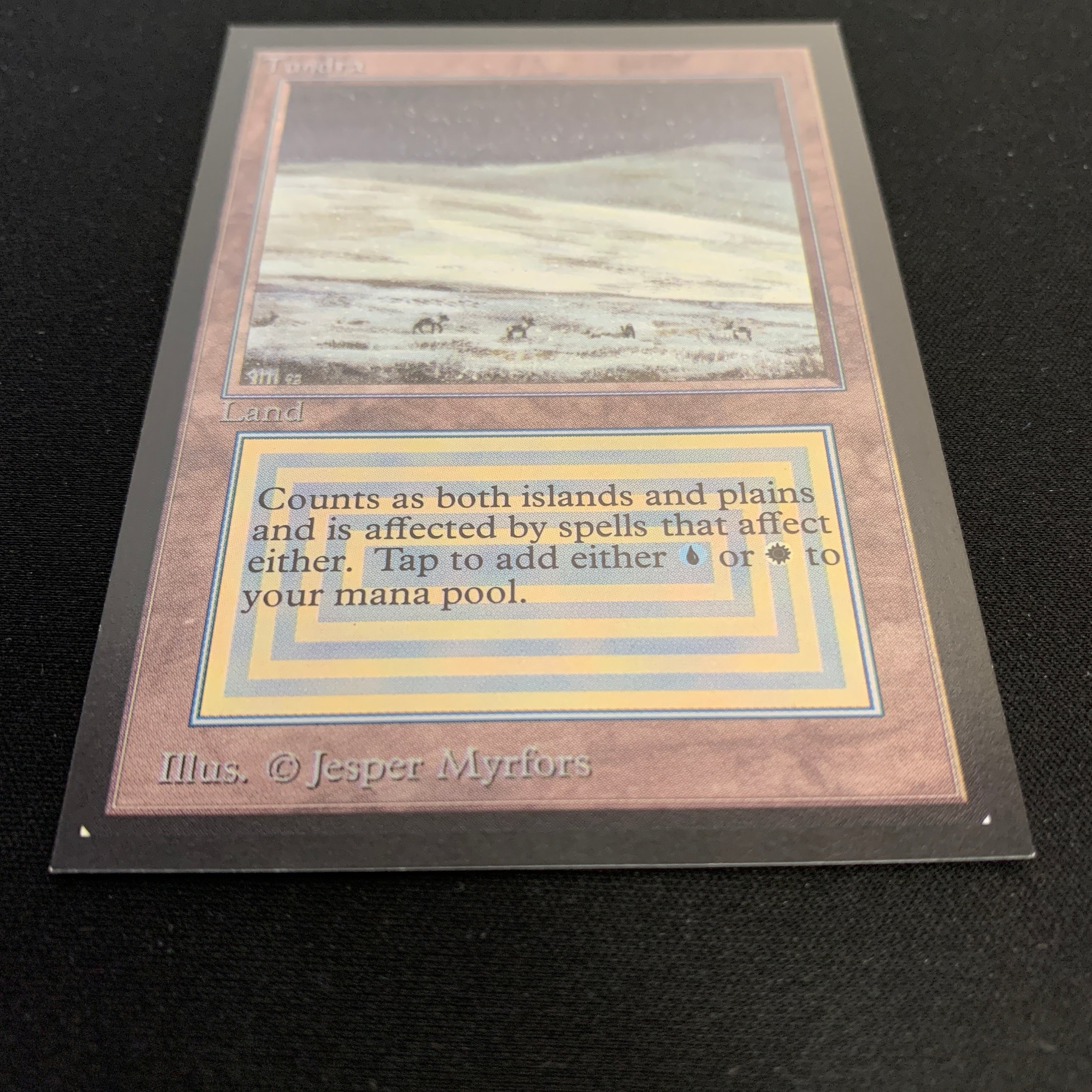 MTG Singles - Tundra - Collectors' Edition - 