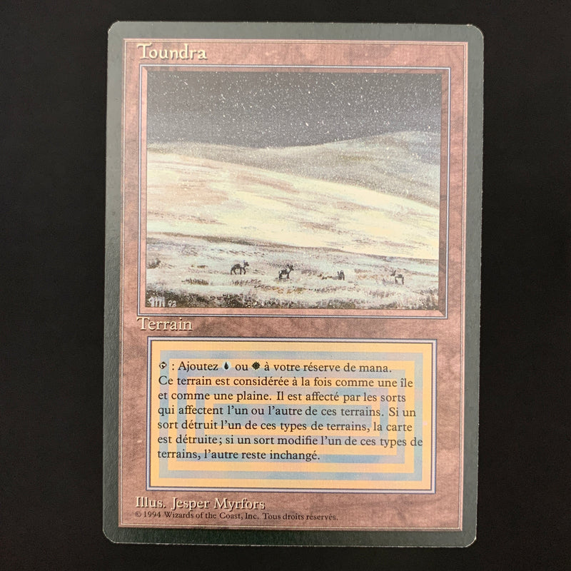 Tundra Foreign Black Bordered French Magic: The Gathering