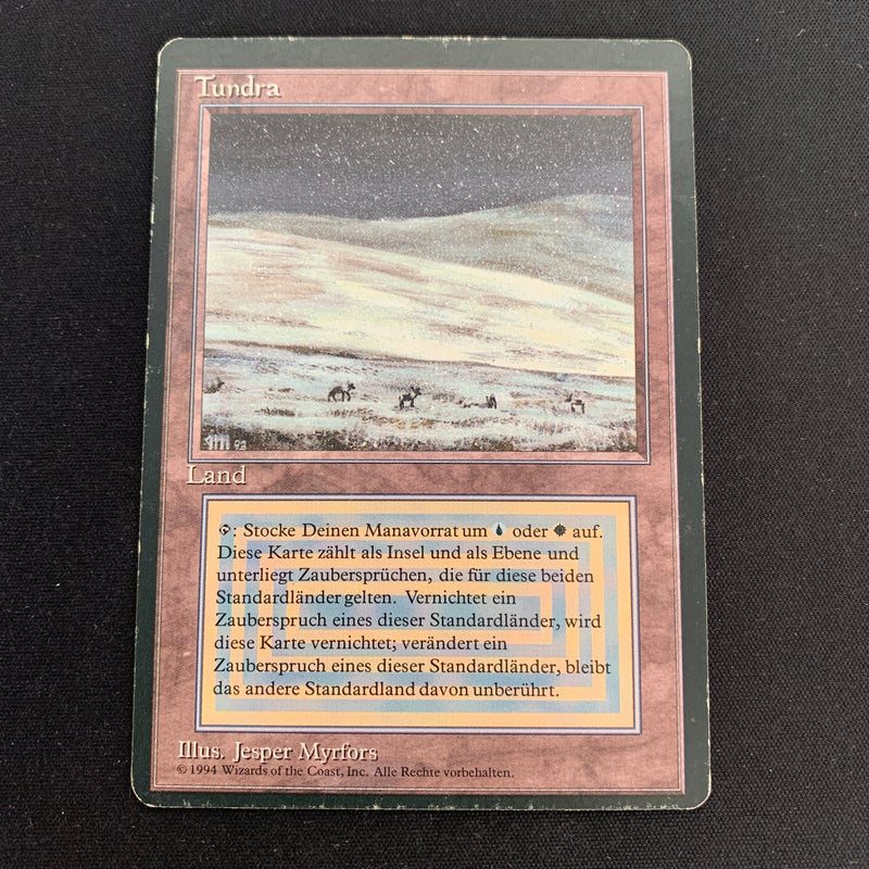 Magic the Gathering Tundra - Foreign Black Bordered - German 