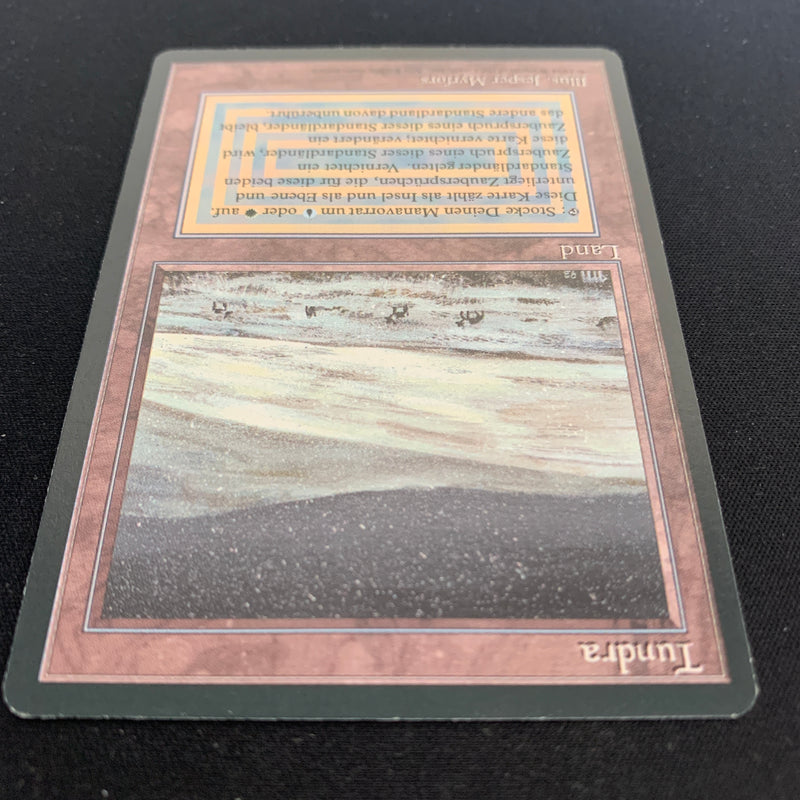 Magic the Gathering Tundra - Foreign Black Bordered - German 