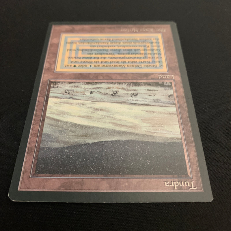 Magic the Gathering Tundra - Foreign Black Bordered - German 