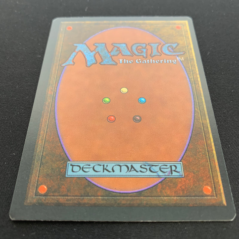 Magic the Gathering Tundra - Foreign Black Bordered - German 