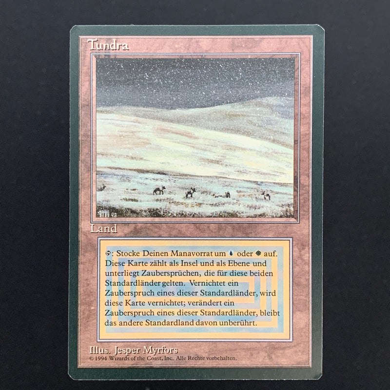 Magic the Gathering Tundra - Foreign Black Bordered - German 