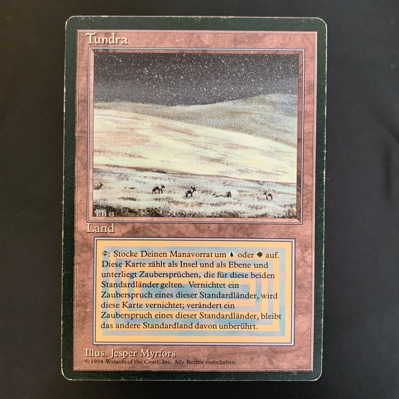 Magic the Gathering Tundra - Foreign Black Bordered - German 