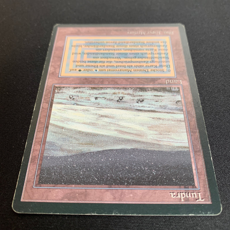 Magic the Gathering Tundra - Foreign Black Bordered - German 