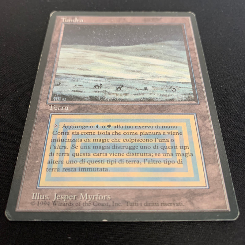 Magic the Gathering Tundra - Foreign Black Bordered - Italian 