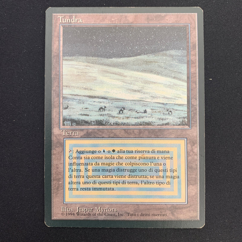 Magic the Gathering Tundra - Foreign Black Bordered - Italian 