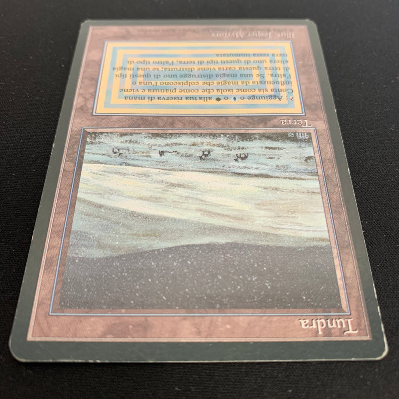 Magic the Gathering Tundra - Foreign Black Bordered - Italian 