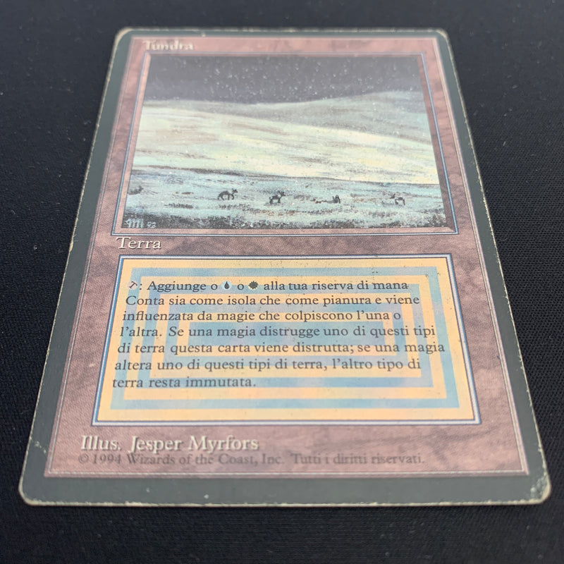 Magic the Gathering Tundra - Foreign Black Bordered - Italian 