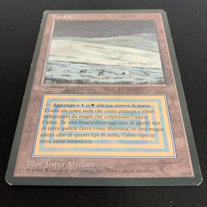 Magic the Gathering Tundra - Foreign Black Bordered - Italian 