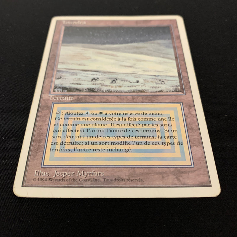 Magic the Gathering Tundra - Foreign White Bordered - French 