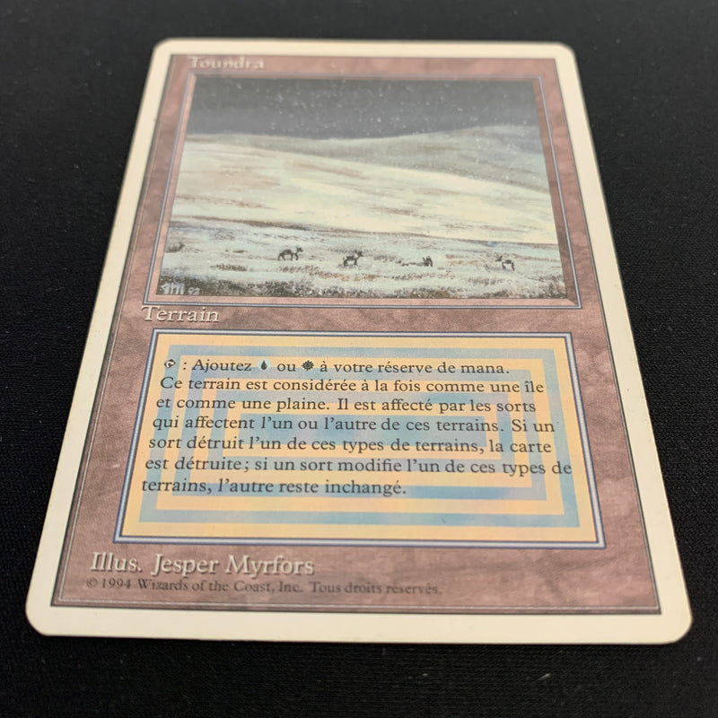 Magic the Gathering Tundra - Foreign White Bordered - French 