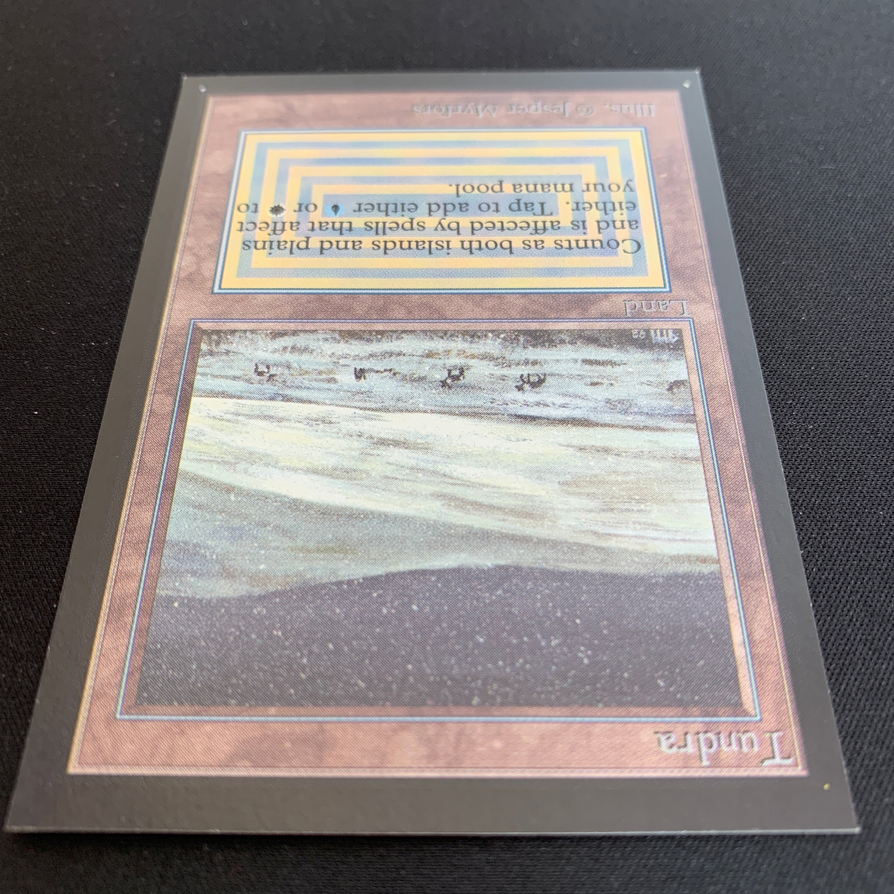 MTG Singles - Tundra - International Edition - 