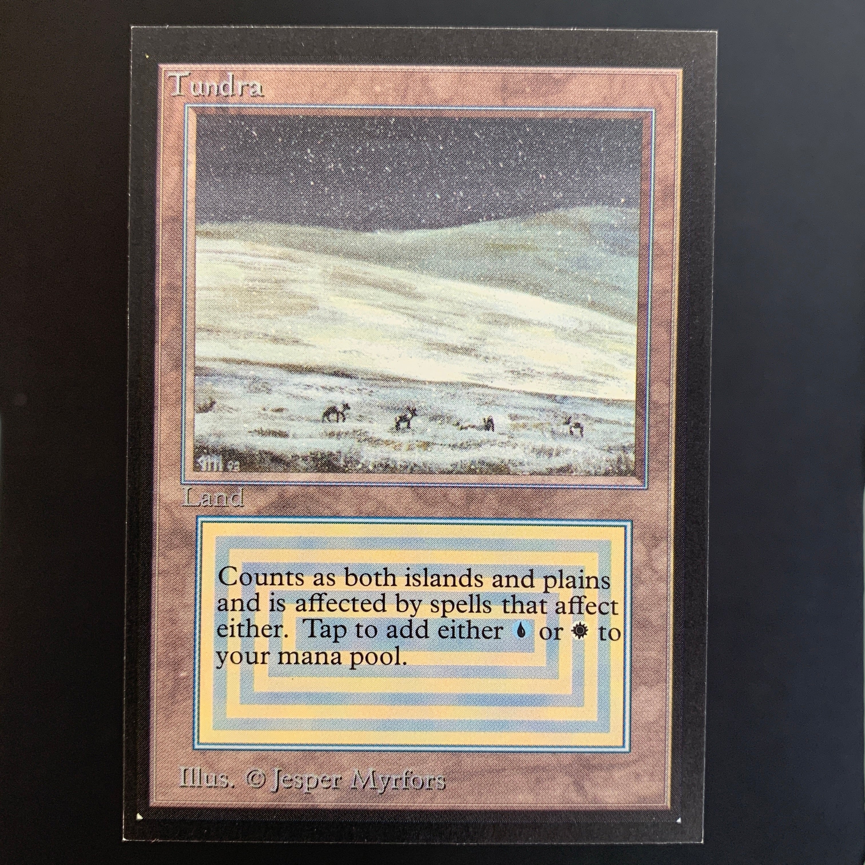 MTG Singles - Tundra - International Edition - 