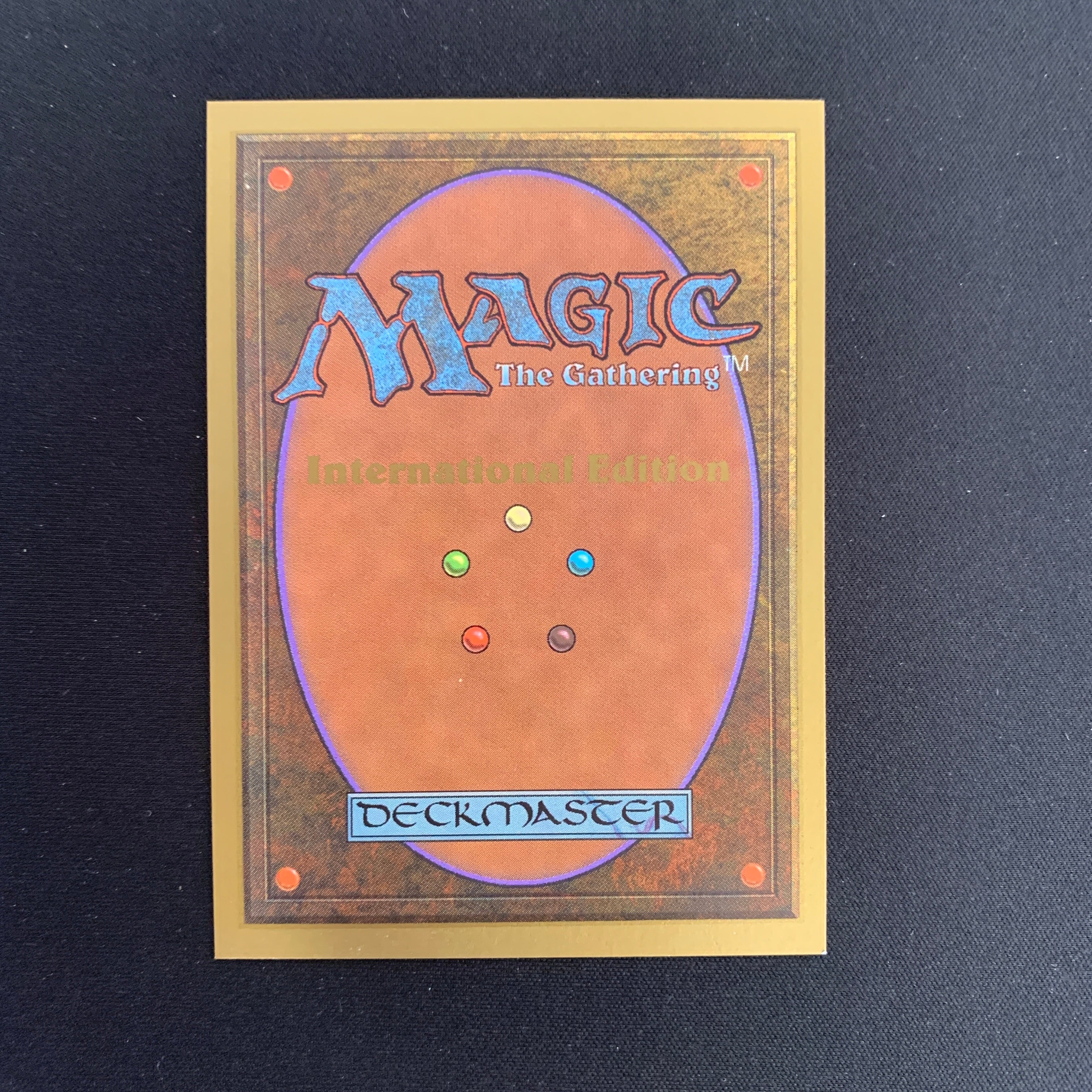 MTG Singles - Tundra - International Edition - 