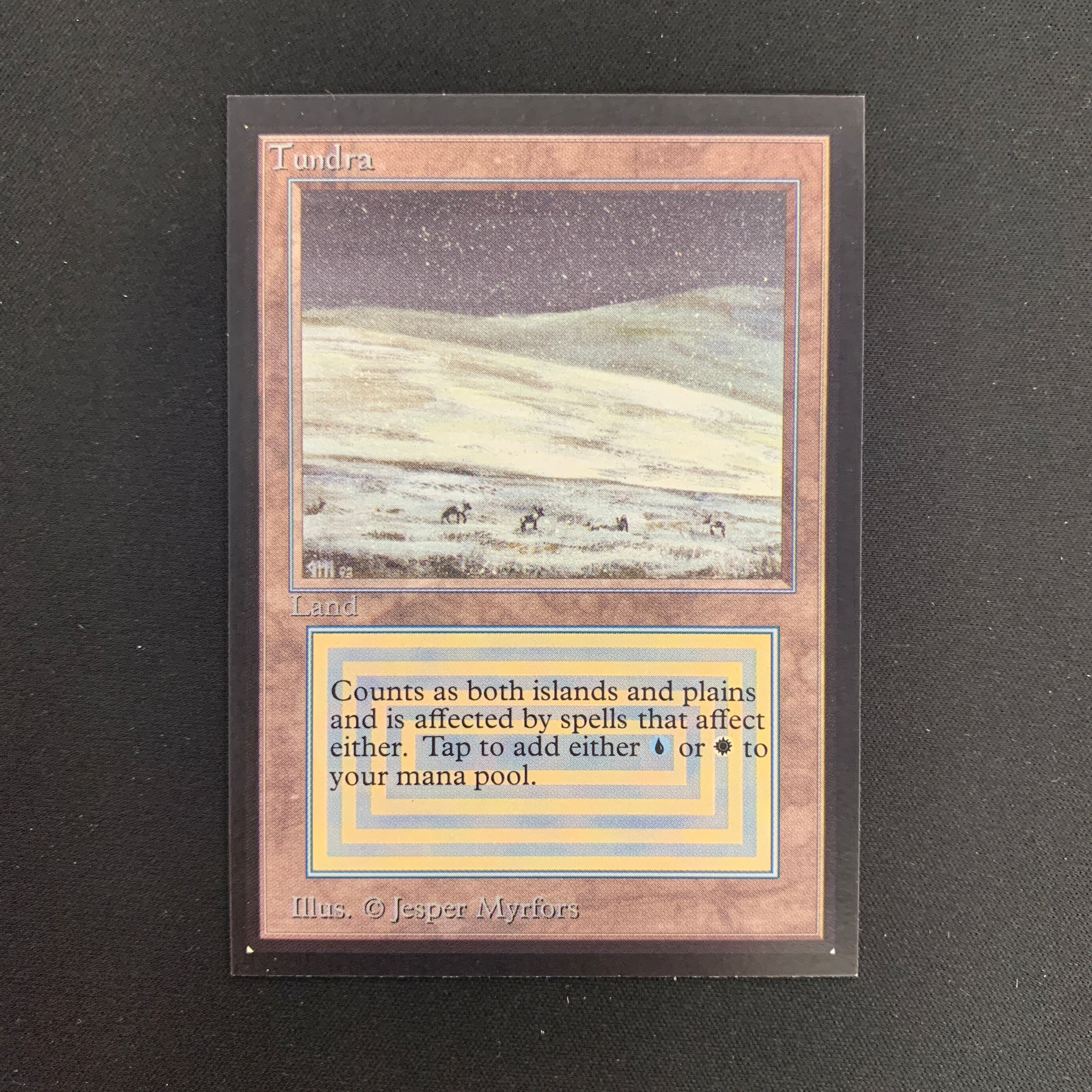 MTG Singles - Tundra - International Edition - 