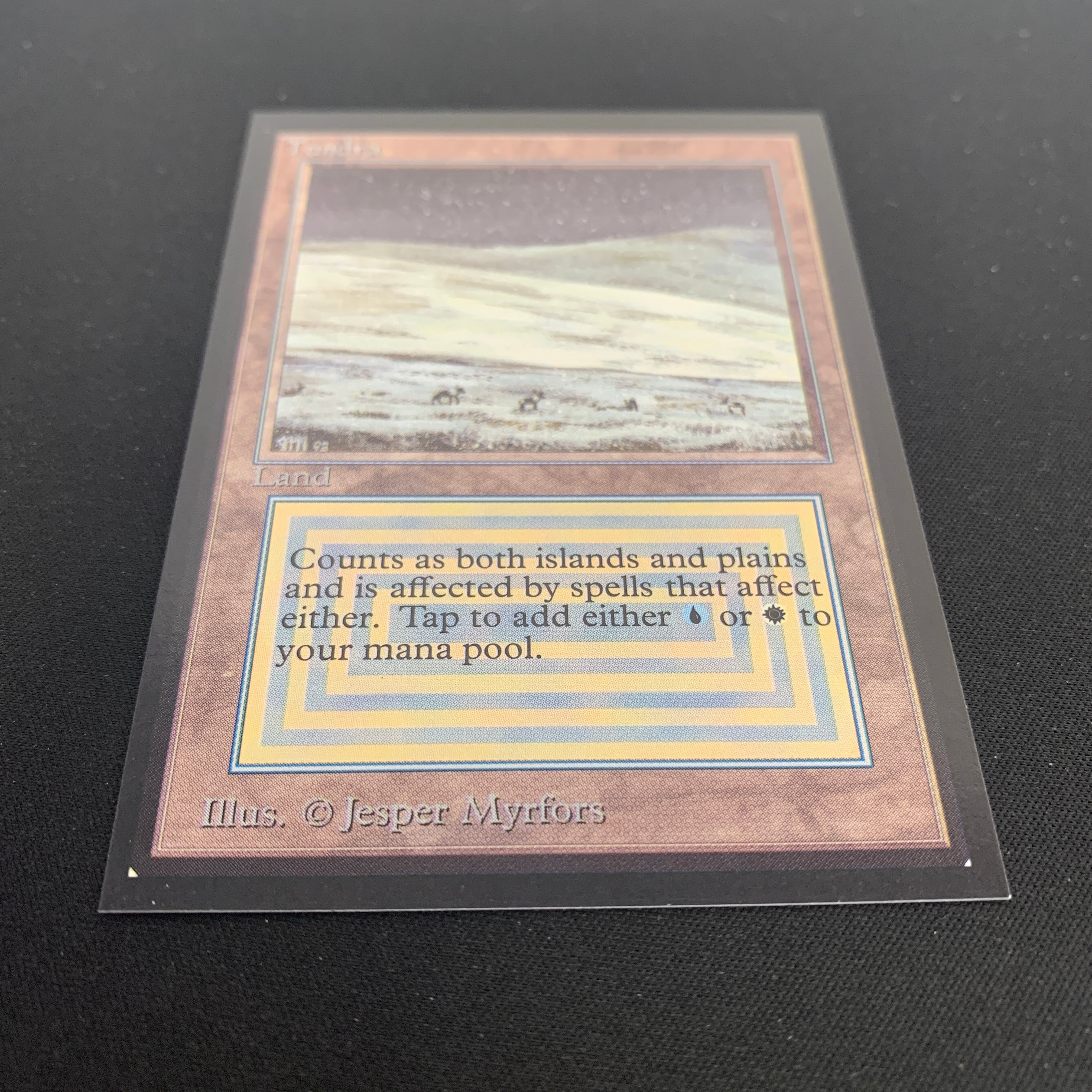 MTG Singles - Tundra - International Edition - 