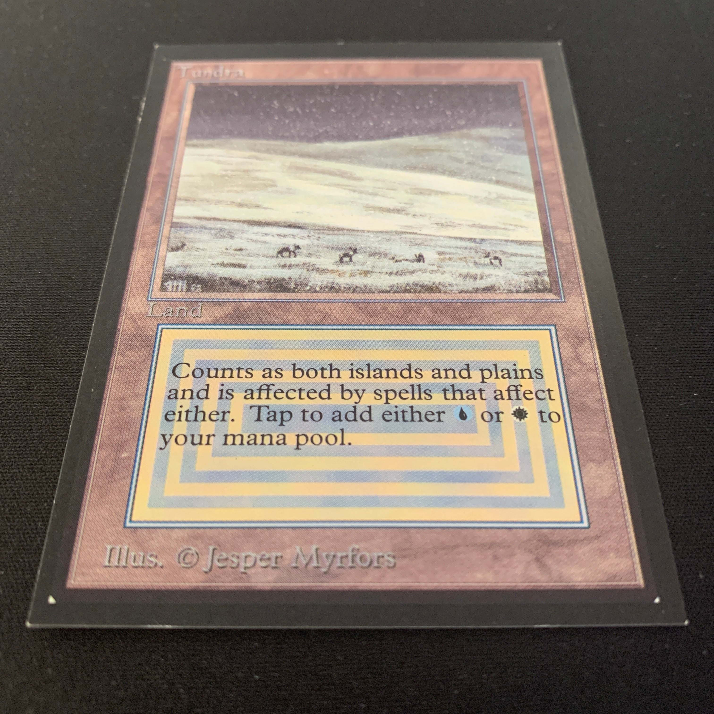 MTG Singles - Tundra - International Edition - 