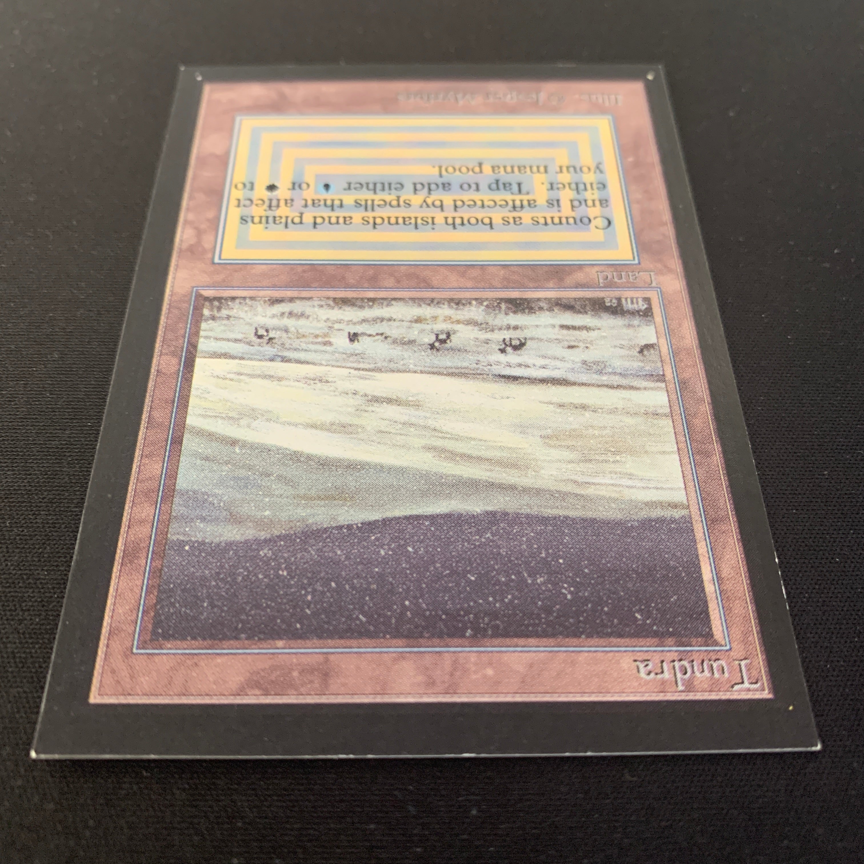 MTG Singles - Tundra - International Edition - 