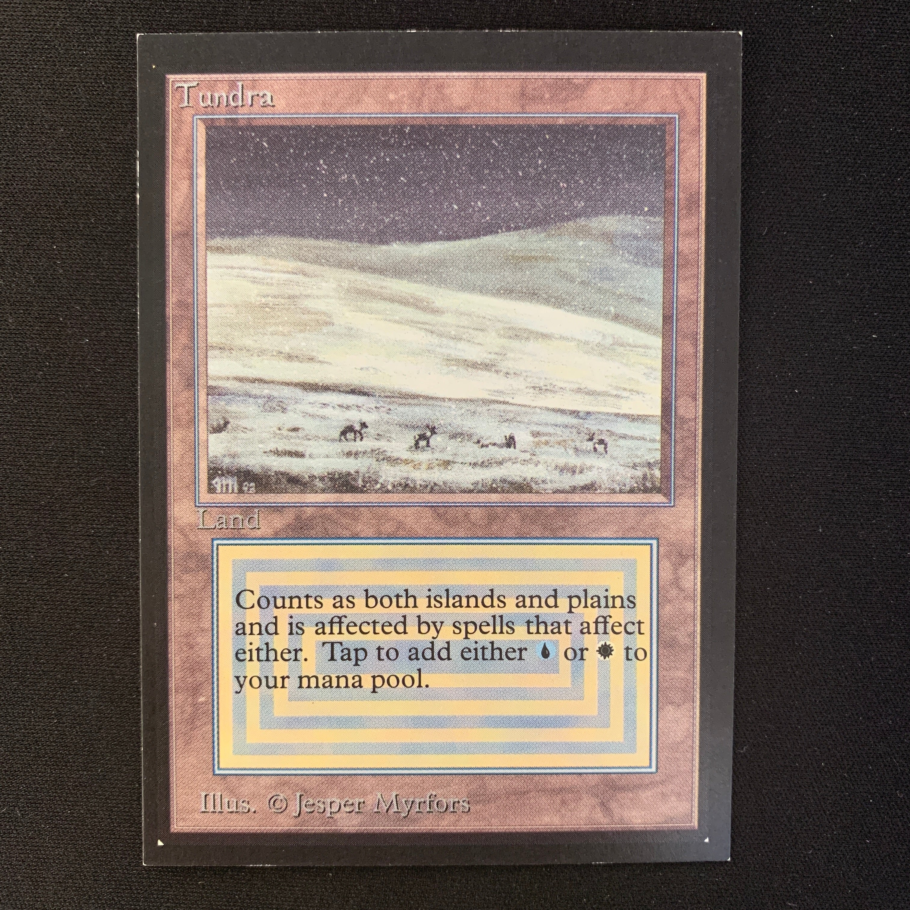 MTG Singles - Tundra - International Edition - 
