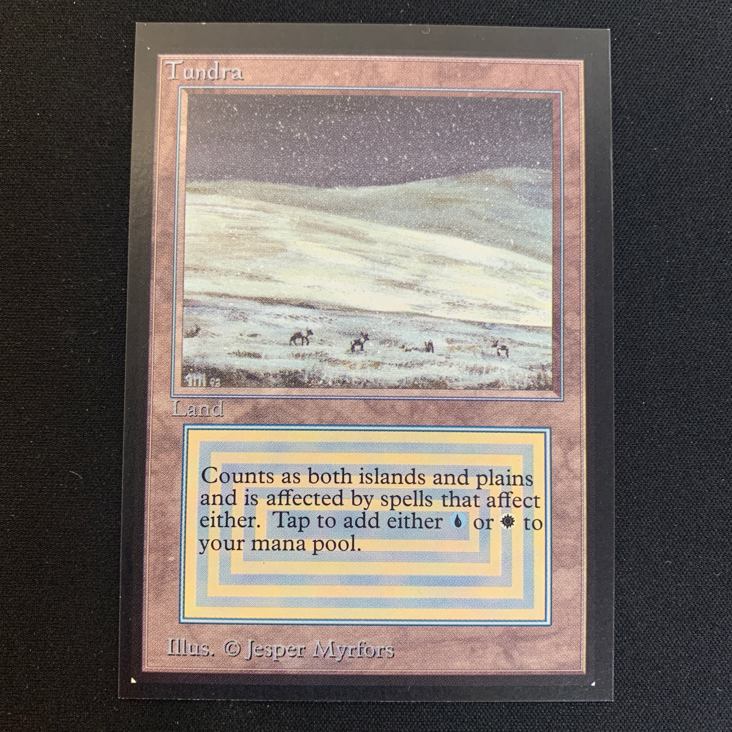 MTG Singles - Tundra - International Edition - 