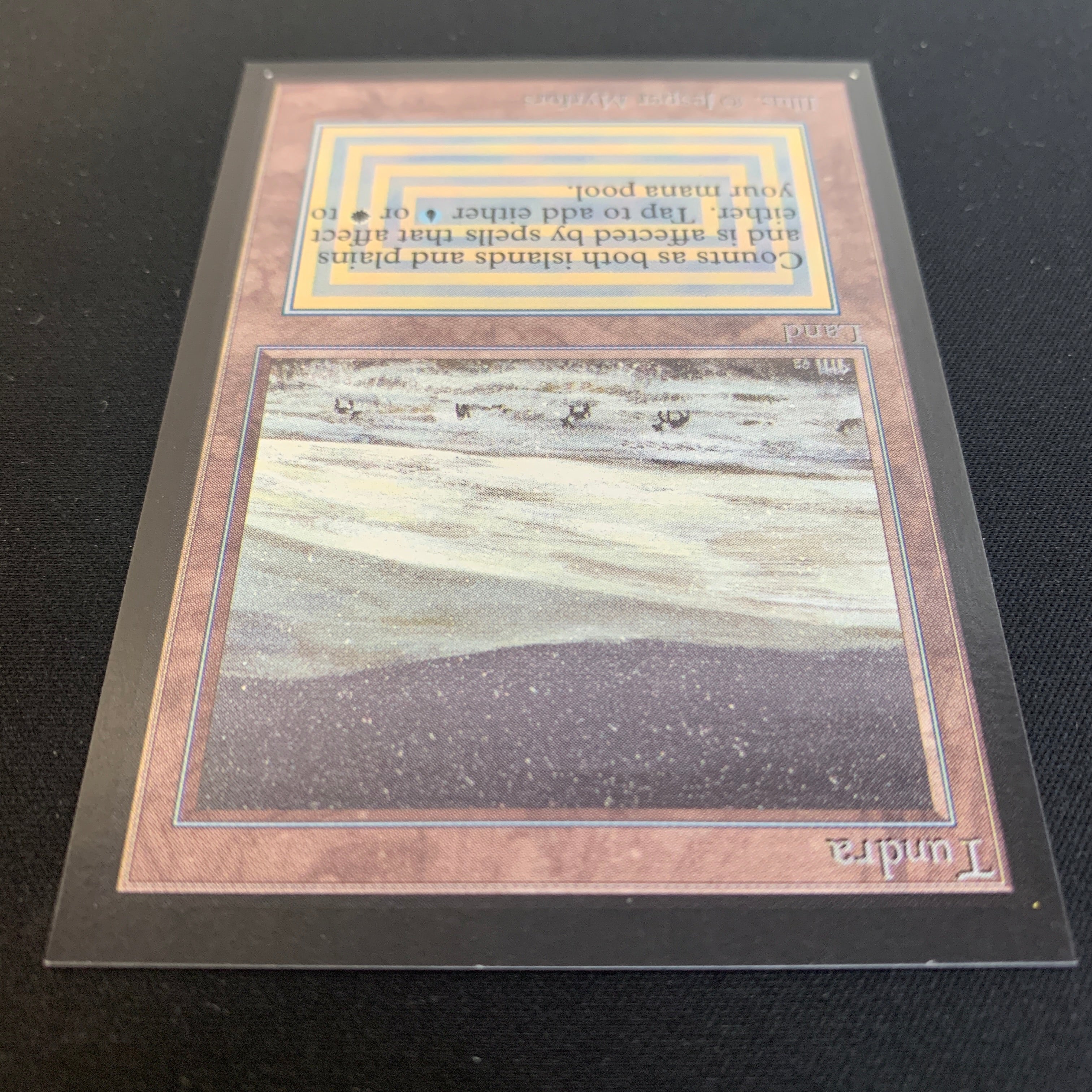 MTG Singles - Tundra - International Edition - 