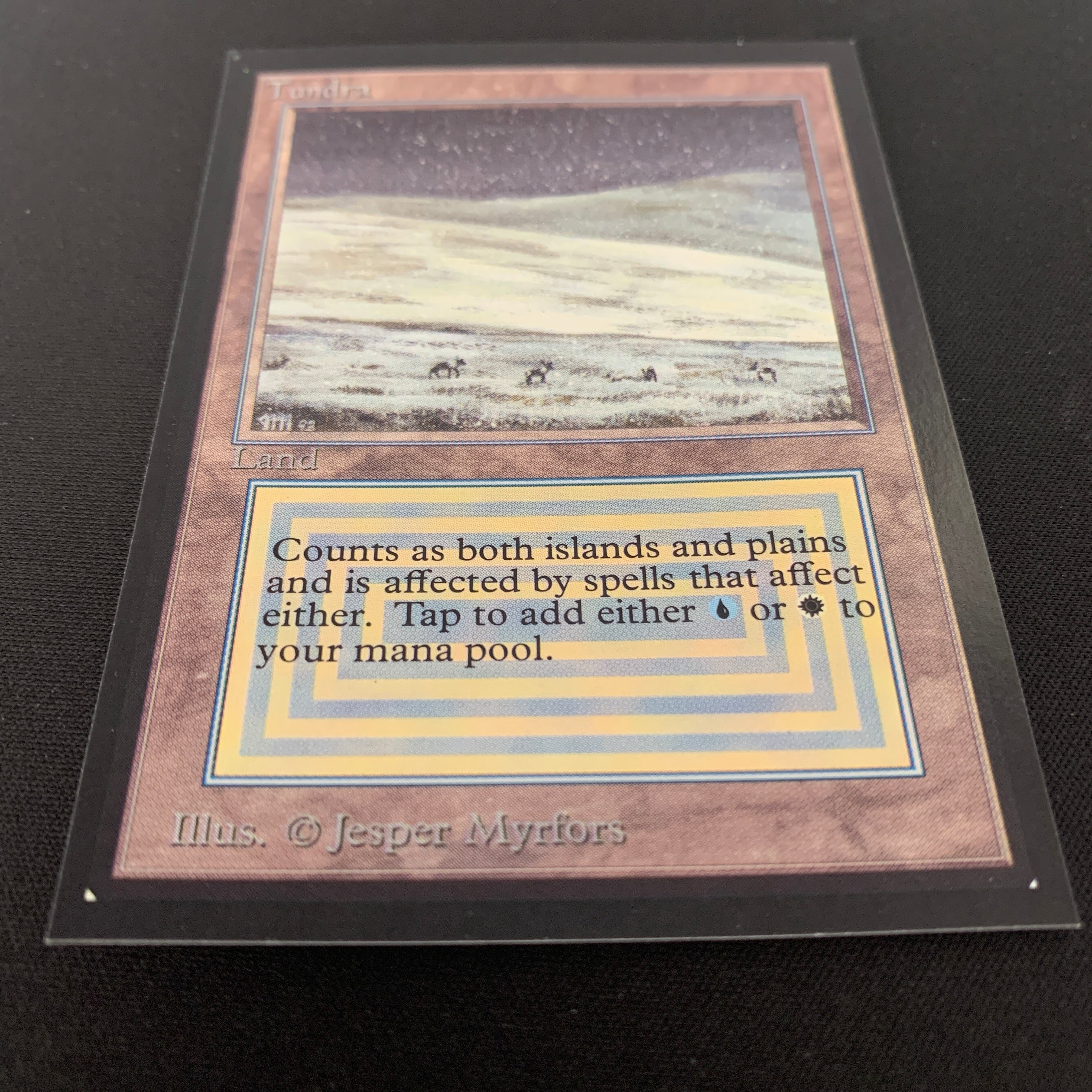 MTG Singles - Tundra - International Edition - 