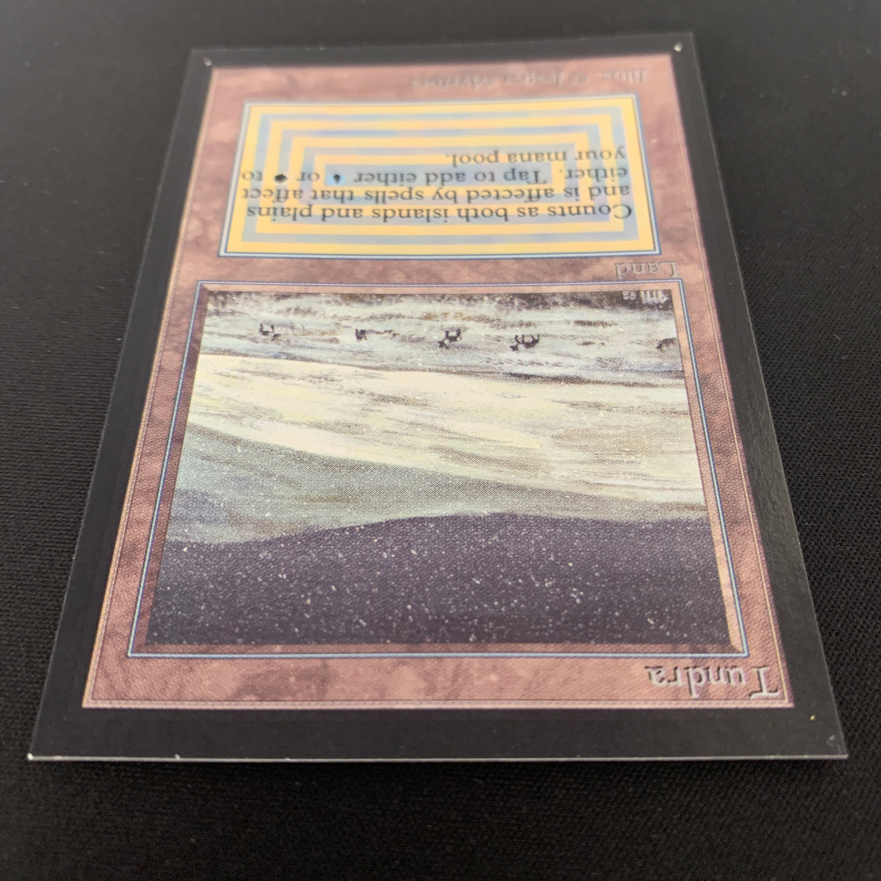 MTG Singles - Tundra - International Edition - 
