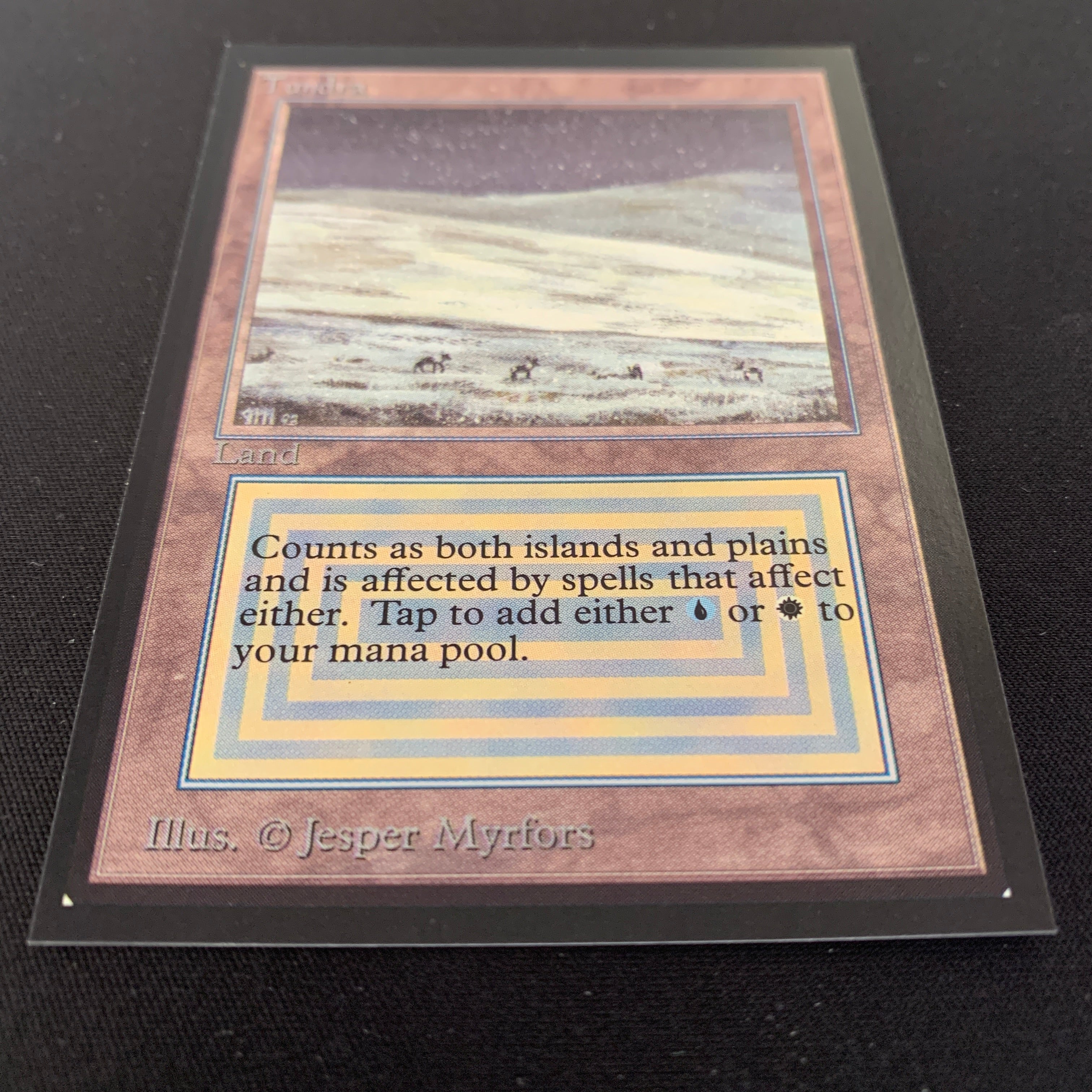 MTG Singles - Tundra - International Edition - 