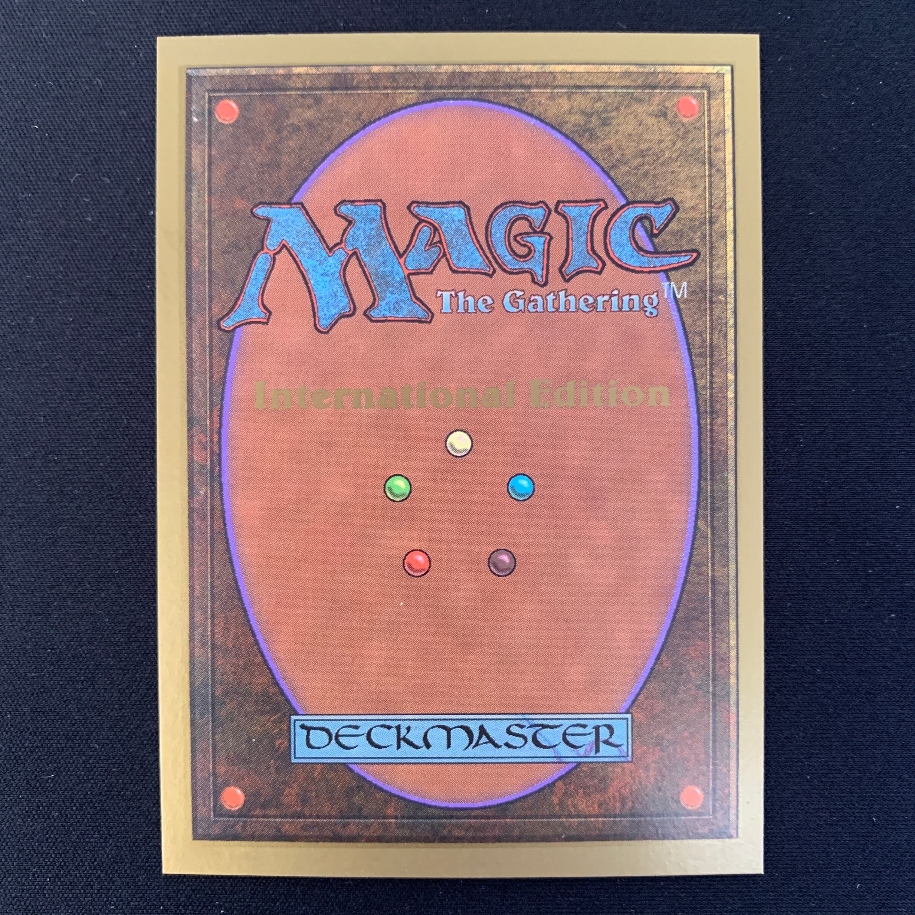 MTG Singles - Tundra - International Edition - 