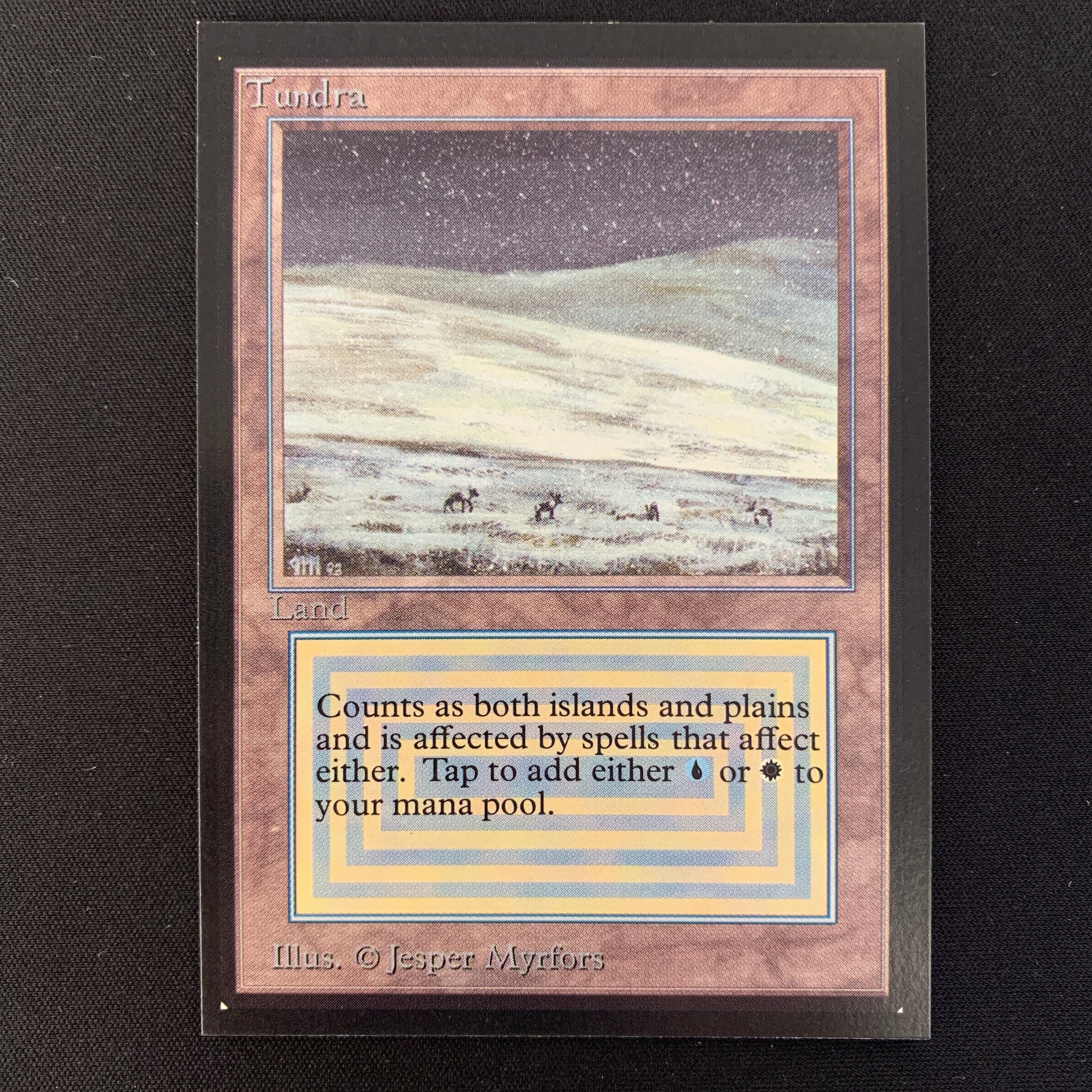 MTG Singles - Tundra - International Edition - 