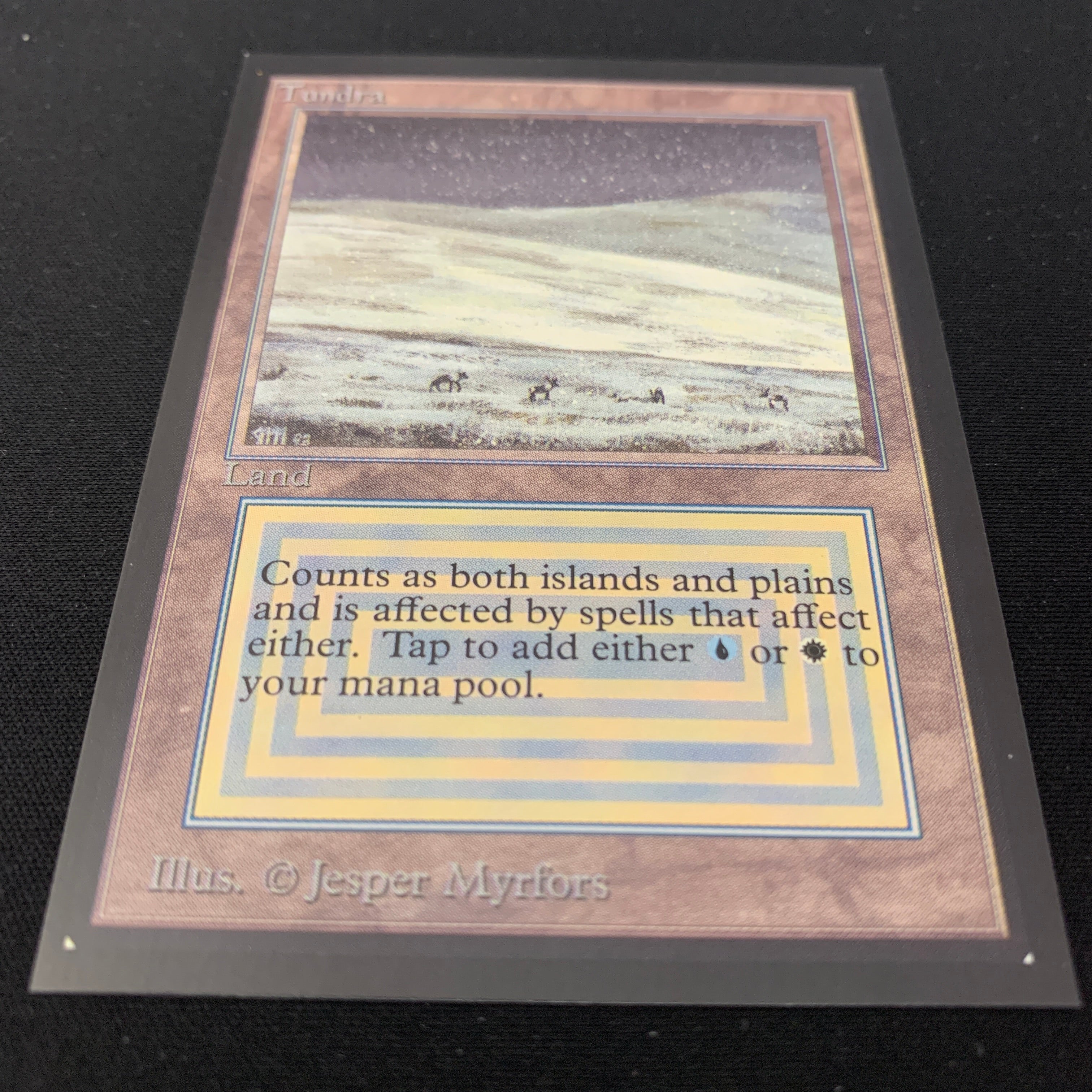 MTG Singles - Tundra - International Edition - 