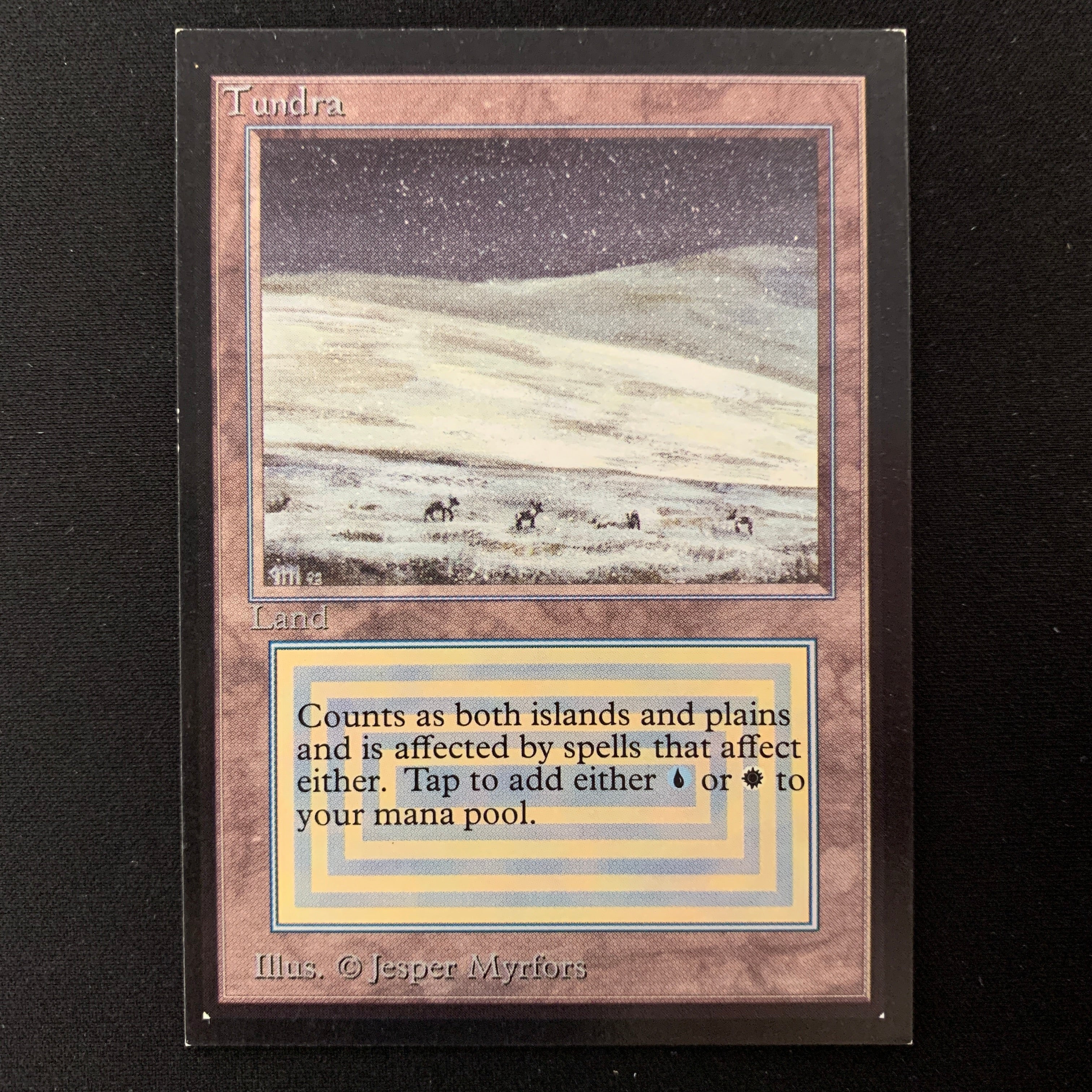 MTG Singles - Tundra - International Edition - 