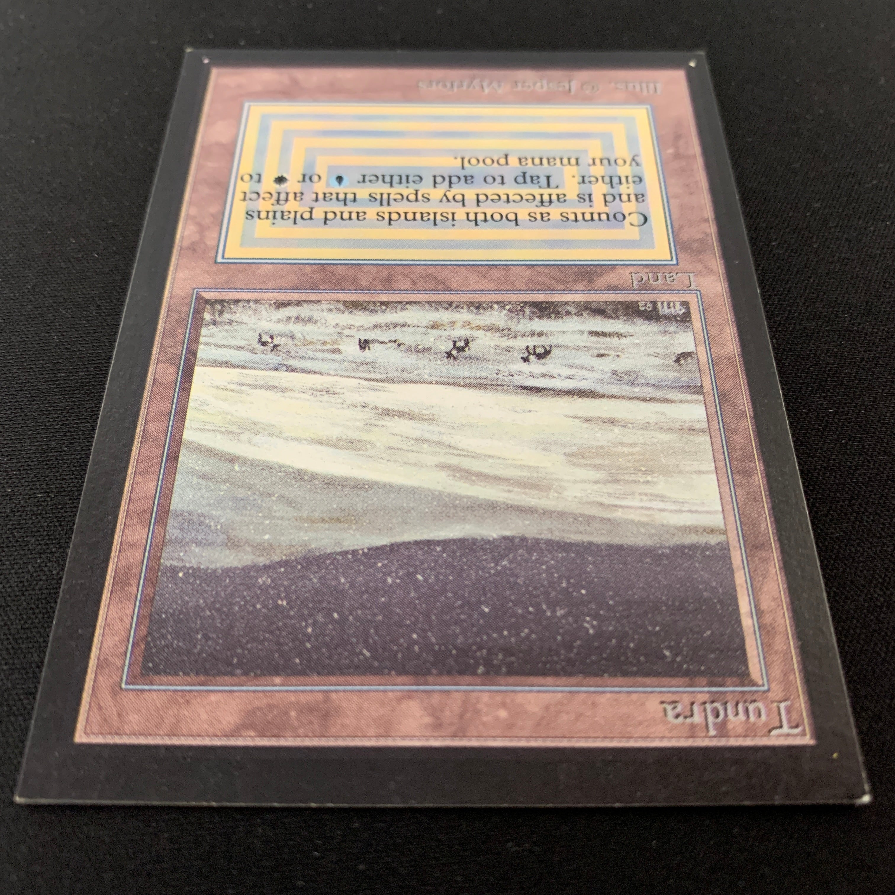 MTG Singles - Tundra - International Edition - 