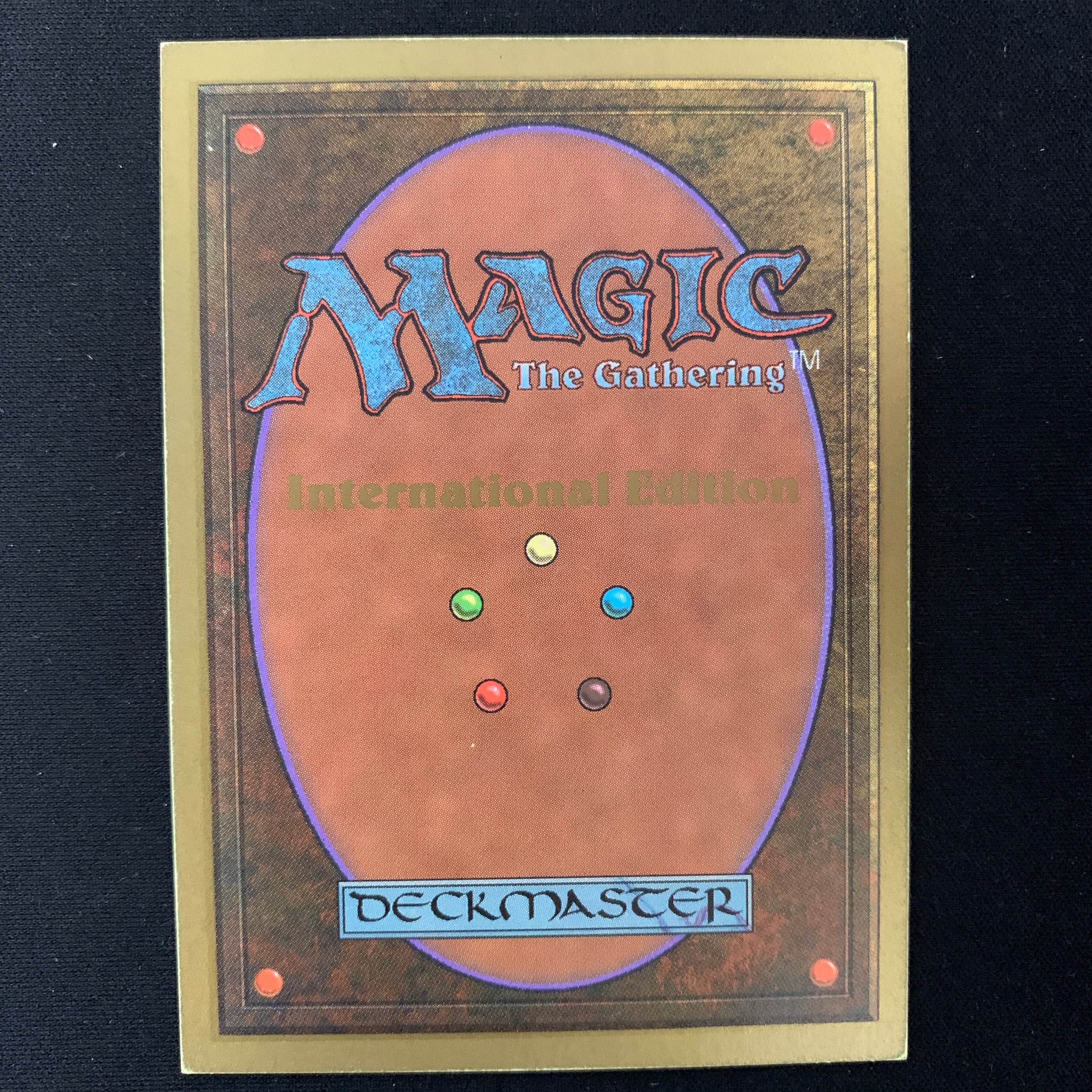 MTG Singles - Tundra - International Edition - 