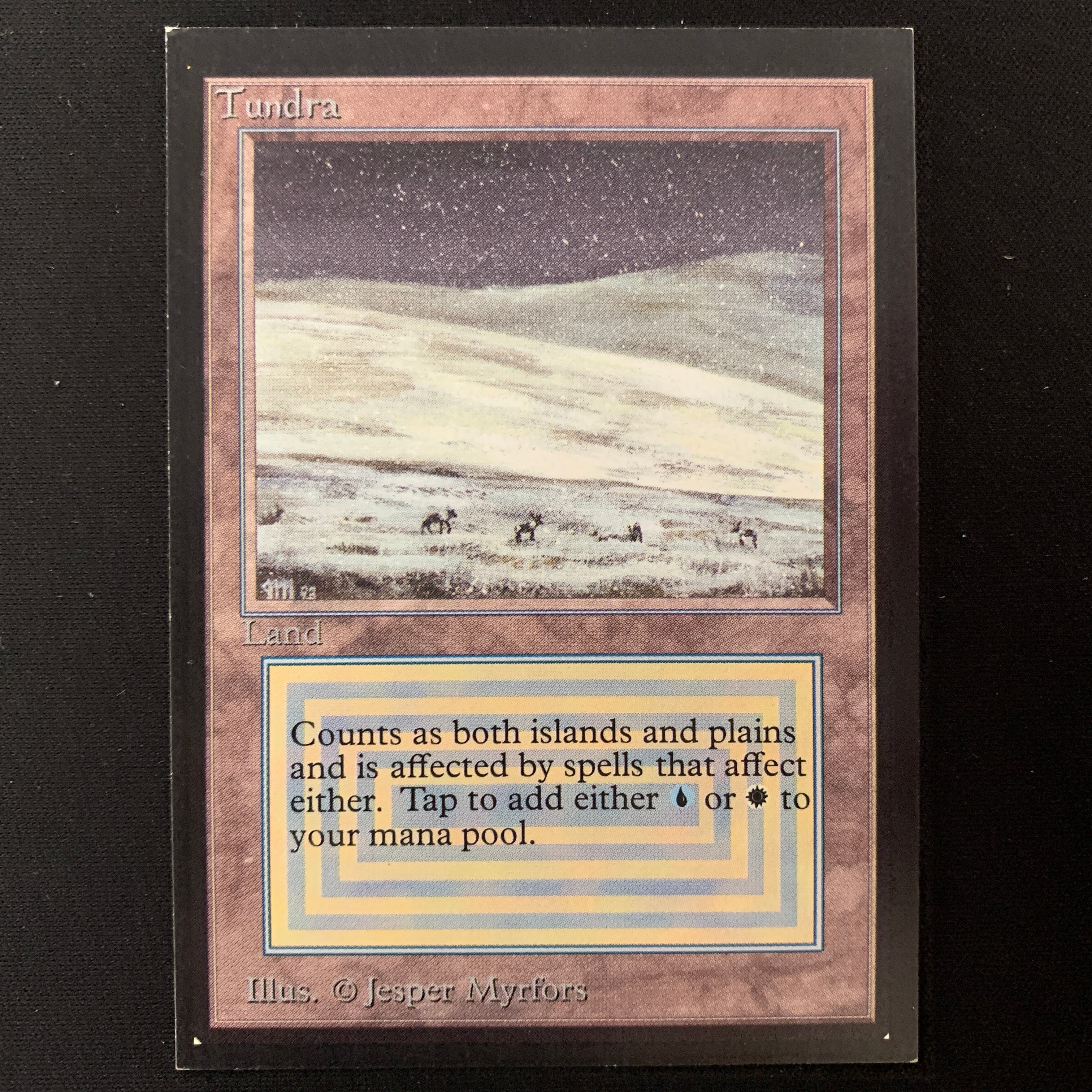 MTG Singles - Tundra - International Edition - 