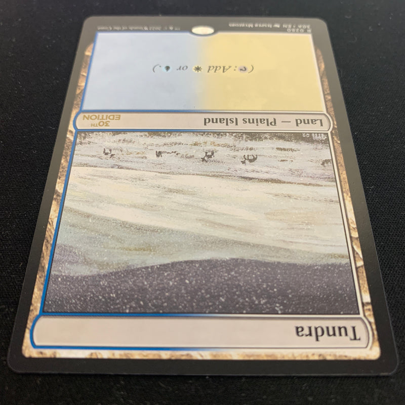 Tundra (Modern Frame) - 30th Anniversary Edition