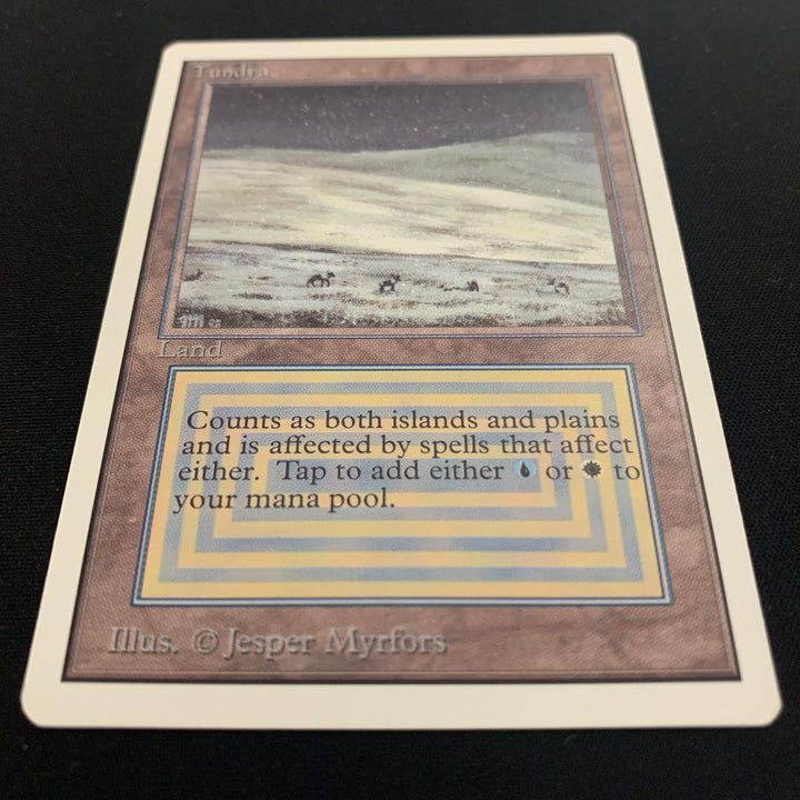 Magic the Gathering Tundra - Unlimited 