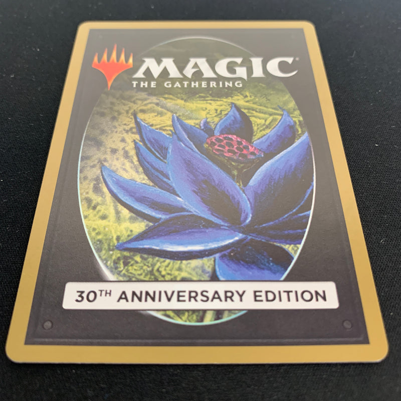 Magic the Gathering Underground Sea (Modern Frame) - 30th Anniversary Edition 