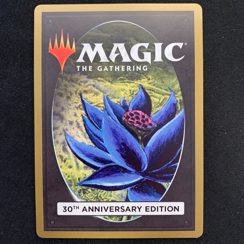 Magic the Gathering Underground Sea (Modern Frame) - 30th Anniversary Edition 