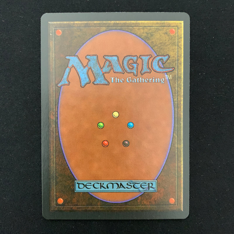 Magic the Gathering Volcanic Island - Foreign Black Bordered - German 