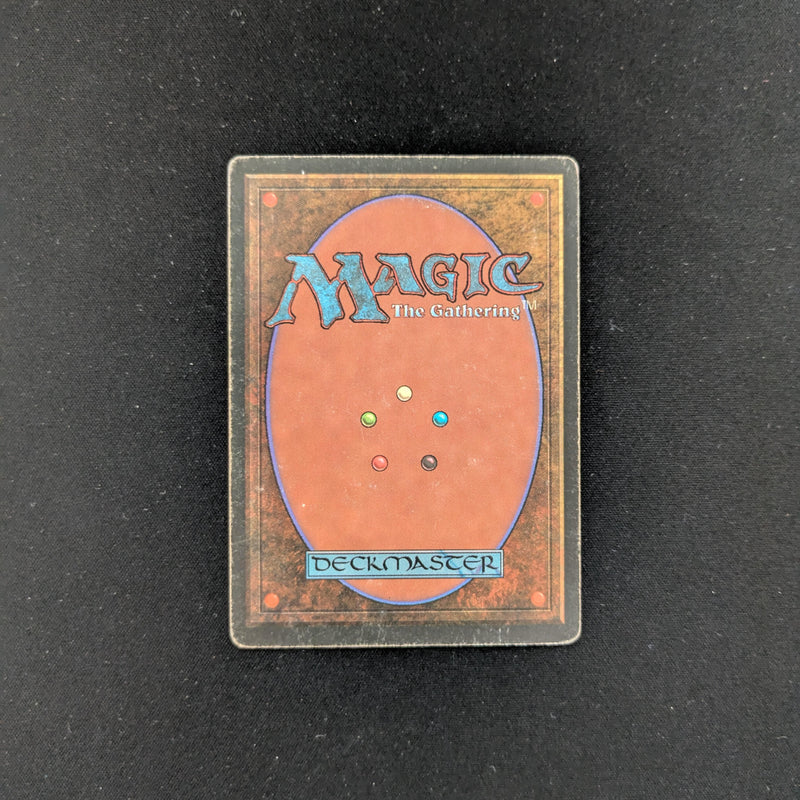 Magic the Gathering Wheel of Fortune - Revised 